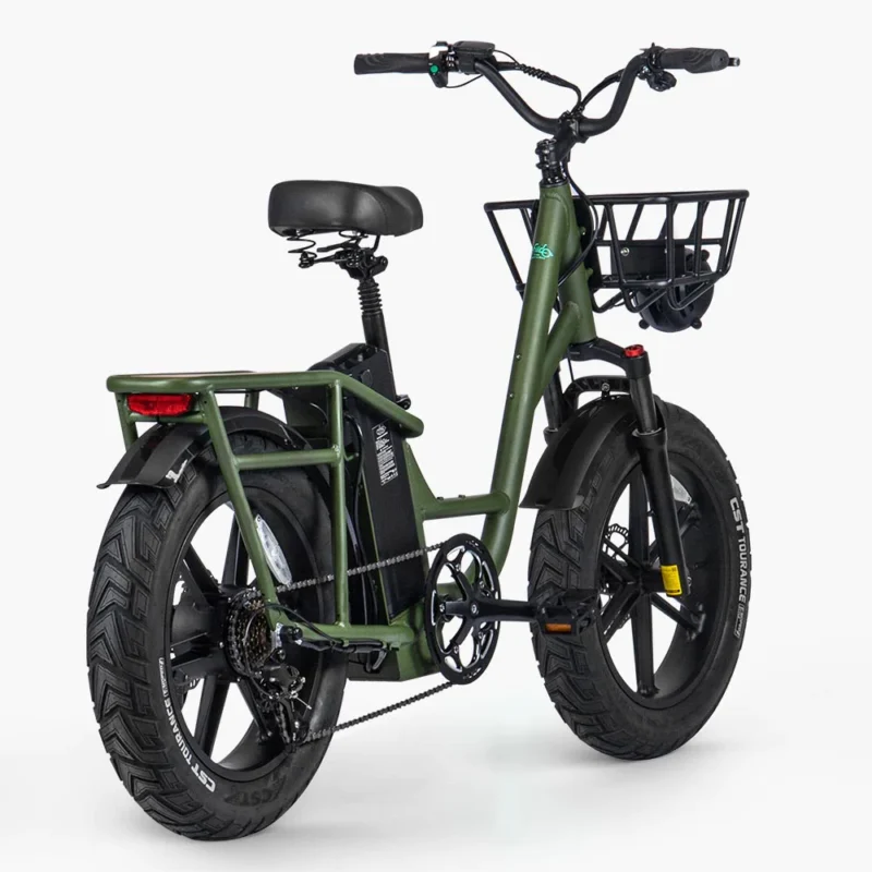 Fiido T1 Pro Vélo cargo électrique – Image 2
