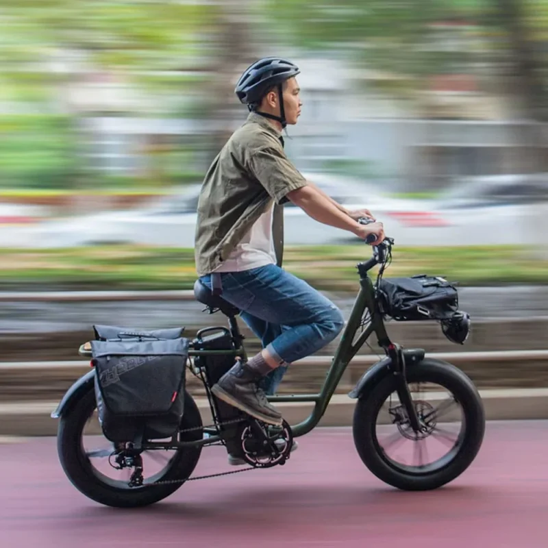 Fiido T1 Pro Vélo cargo électrique – Image 3