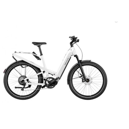 Riese & Muller Homage GT Rohloff 2022