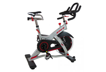 VÉLO DE BIKING REX H921 20 KG USAGE PROFESSIONNEL