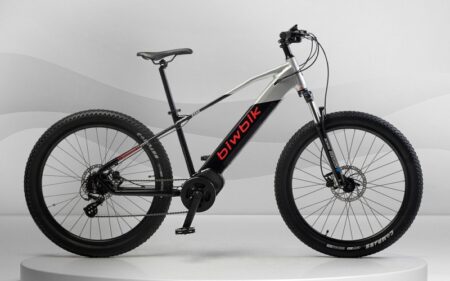VTT électrique BIWBIK KONE