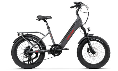Vélo Électrique LOMBARDO AURELIA 20" 36v 672Wh gris