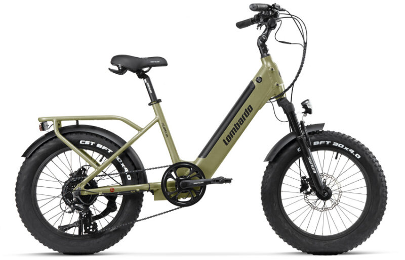 Vélo Électrique LOMBARDO AURELIA 20" 36v 672Wh vert
