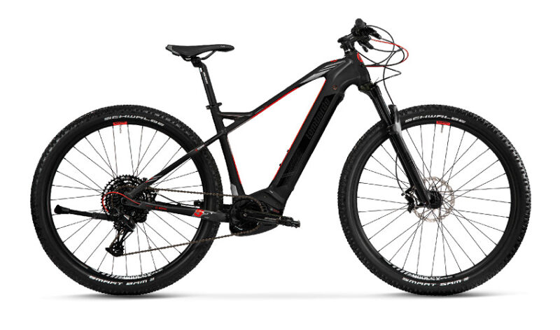 Vélo Électrique LOMBARDO CHAMONIX 9.0 29" 625Wh gris – Image 3