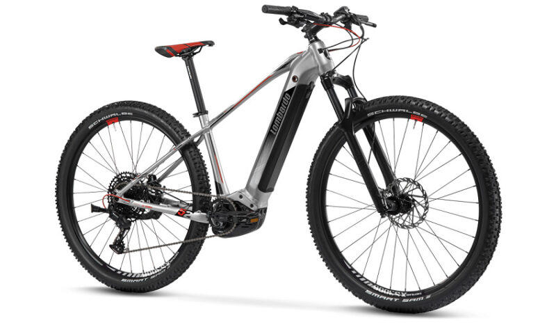 Vélo Électrique LOMBARDO CHAMONIX 9.0 29" 625Wh gris