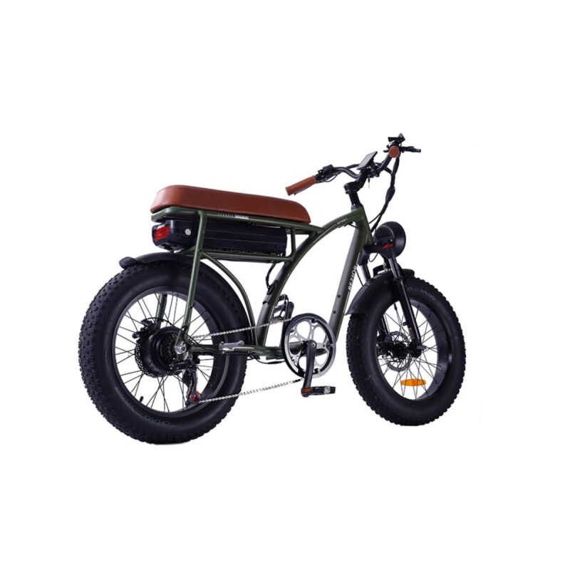 Vélo électrique BEZIOR XF001 rétro 45km/h 1000W moteur 20 pouces 48V12.5Ah Vert – Image 3