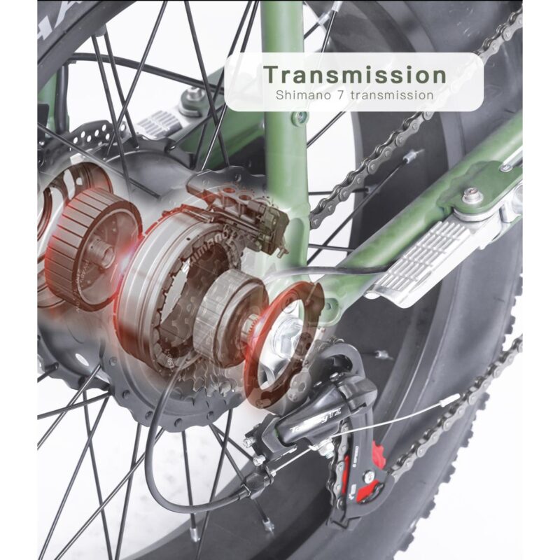 Vélo électrique BEZIOR XF001 rétro 45km/h 1000W moteur 20 pouces 48V12.5Ah Vert – Image 2