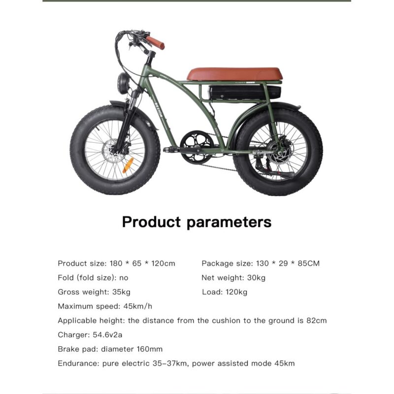 Vélo électrique BEZIOR XF001 rétro 45km/h 1000W moteur 20 pouces 48V12.5Ah Vert – Image 4