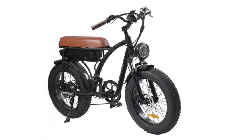 Vélo électrique BEZIOR XF001 rétro 45km/h 1000W moteur 20 pouces 48V12.5Ah Vert – Image 8
