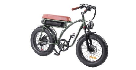 Vélo électrique BEZIOR XF001 rétro 45km/h 1000W moteur 20 pouces 48V12.5Ah Vert