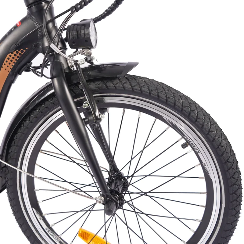 Vélo électrique FAFREES 20F054 20'' 250W 36V 25 km/h 10AH Noir – Image 15