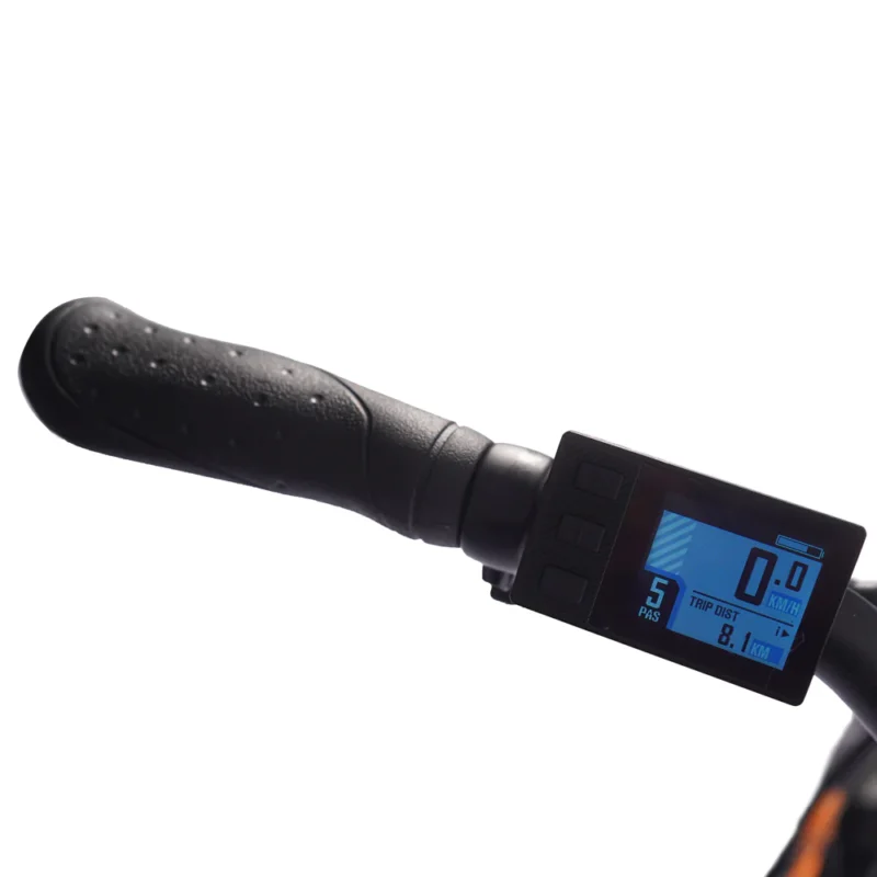 Vélo électrique FAFREES 20F054 20'' 250W 36V 25 km/h 10AH Noir – Image 11