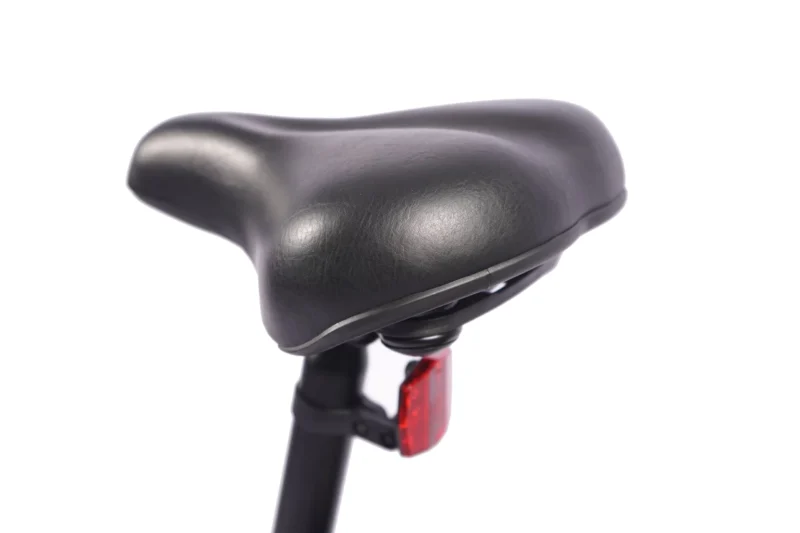 Vélo électrique FAFREES 20F054 20'' 250W 36V 25 km/h 10AH Noir – Image 9