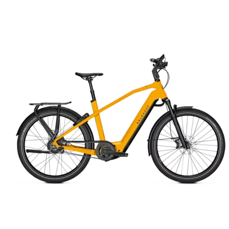 Kalkhoff Image 7.B Excite+ 2023